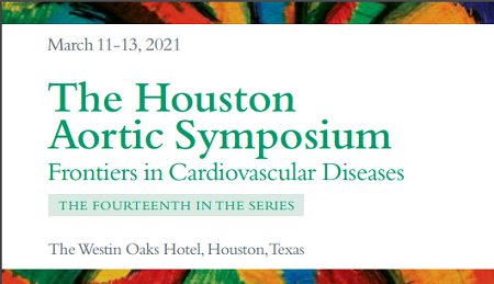 
The Houston Aortic Symposium 2021
