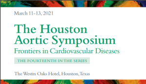 The Houston Aortic Symposium 2021