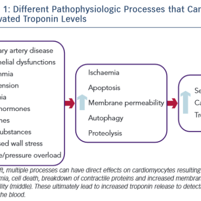 Lead to Elevated Troponin Levels