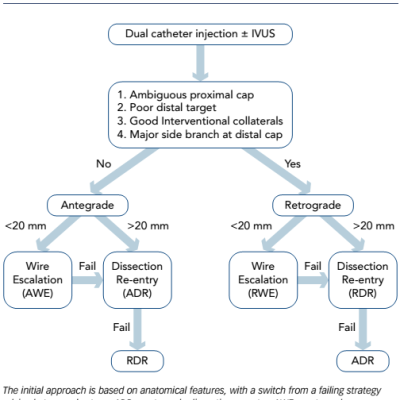 Figure 1 Hybrid Algorithm for Chronic Total Occlusion Percutaneous Coronary Intervention