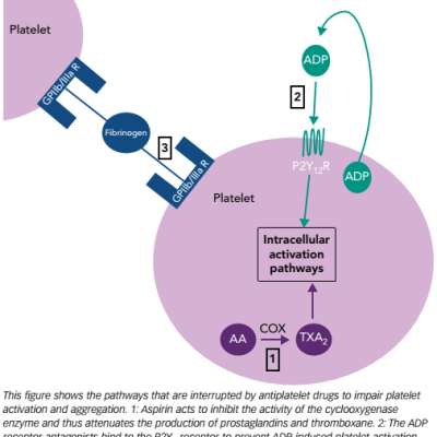 Figure 1 Sites of Action for Antiplatelet Agents