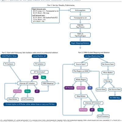 Figure 1 Workflow for the Focal Impulse and Rotor Modulation Ablation of Rotors