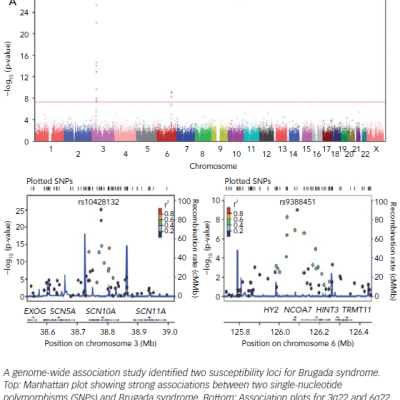 Genome-Wide Association Study Identified Two Susceptibility Loci