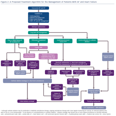 A Proposed Treatment Algorithm For The Management Of Patients With AF And Heart Failure