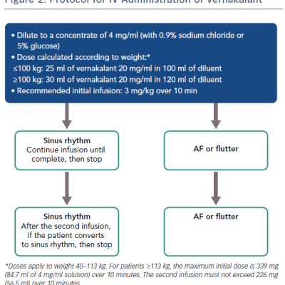 Protocol for IV Administration of Vernakalant