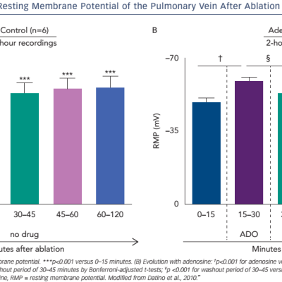 Evolution of the Resting Membrane Potential