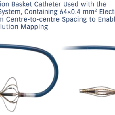 Orion Basket Catheter Used with the RHYTHMIA System Containing 64×0.4 mm 2 Electrodes with 2.5 mm Centre-to-centre Spacing to Enable Higher-resolution Mapping