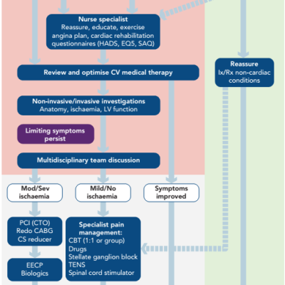 Figure 4 Schematic Showing the Assessment of the Patient with Refractory Angina in a Specialist Multidisciplinary Team Setting