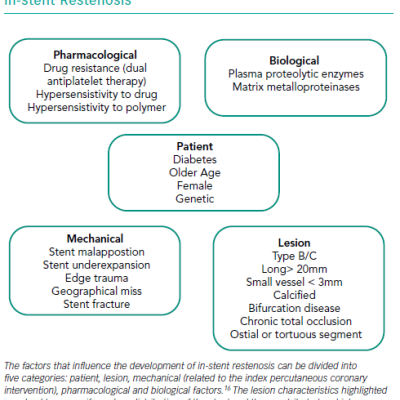 Factors Influencing the Development of In-stent Restenosis