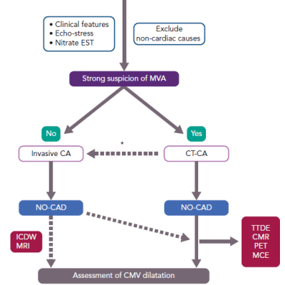 Diagnostic Approach to Patients