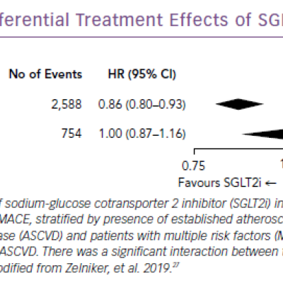 Differential Treatment Effects of SGLT2i