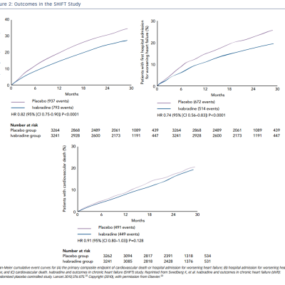 Figure 2 Outcomes in the SHIFT Study