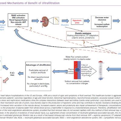 Proposed Mechanisms of Benefit of Ultrafiltration