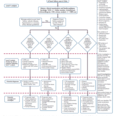 Flow Diagram Illustrating a Proposed Diagnostic Algorithm