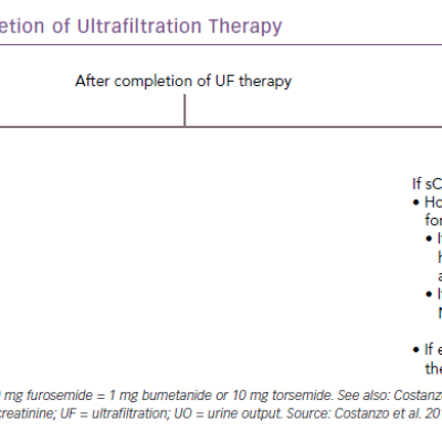 Guidelines for the Completion of Ultrafiltration Therapy