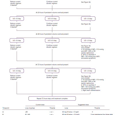 Adjustable Loop Diuretic Guidelines Employed by the AVOID-HF Investigators Initiation of Loop Diureticsy