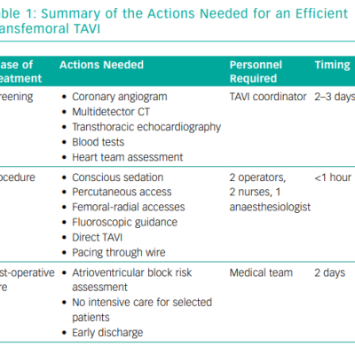 Summary of the Actions Needed for an Efficient Transfemoral TAVI