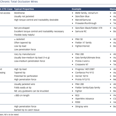 Table 1 Table of Chronic Total Occlusion Wires