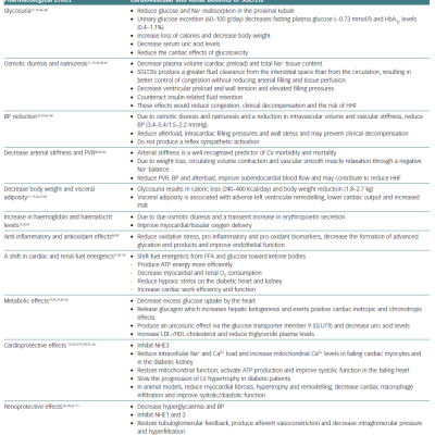 Mechanisms Of Action Underlying The Beneficial Effects