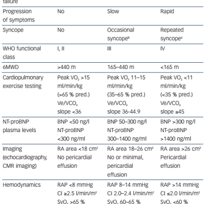 Table 2 Risk Assessment in Pulmonary Arterial Hypertension