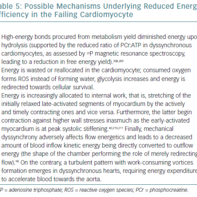 Possible Mechanisms Underlying