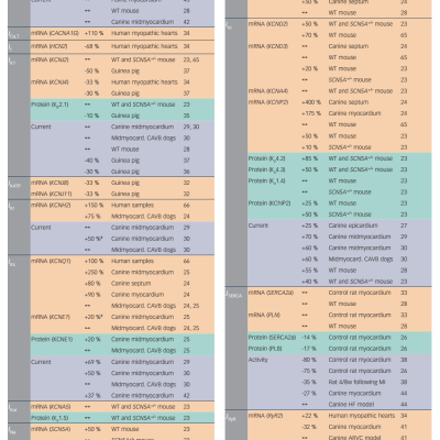 Table 1 Differences in mRNA and Protein Expression and Channel Function Between Left and Right Ventricle for the Major Ion Currents and Ca 2 Handling Proteins Reported in the Literature