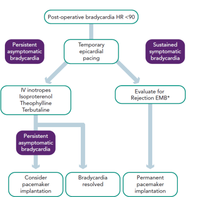 Management of Post-operative Bradycardia