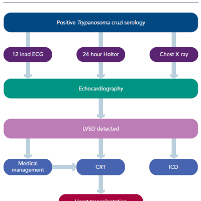 figure -1-a-simplified-care-planning