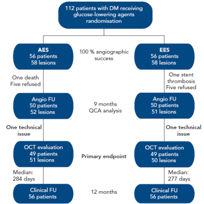 Figure 2 RESERVOIR clinical Study – Randomisation Flow Chart