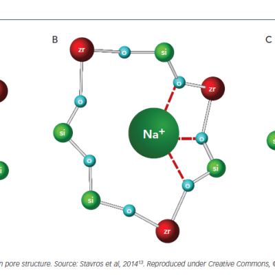 Figure 2 ZS-9 Pore Detail