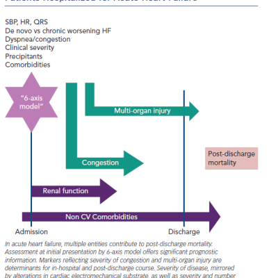 Figure 1 6-axis Risk Model for Post-discharge Mortality in Patients Hospitalized for Acute Heart Failure