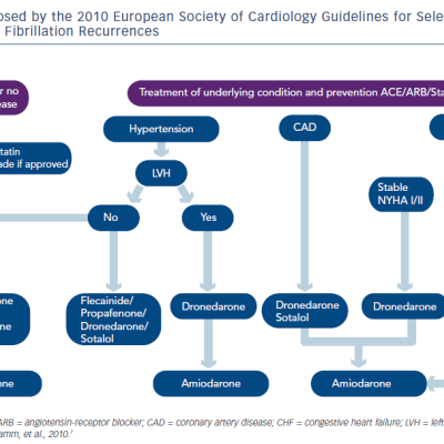 Figure 1 Algorithm Proposed by the 2010 European Society of Cardiology Guidelines for Selecting Antiarrhythmic Drug  Therapy to Prevent Atrial Fibrillation Recurrences