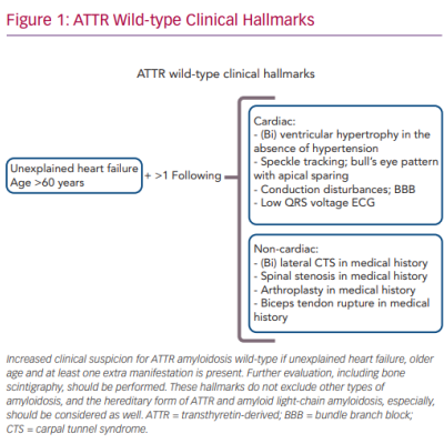 ATTR Wild-type Clinical Hallmarks