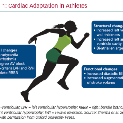 Cardiac Adaptation in Athletes