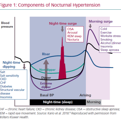 Components of Nocturnal Hypertension
