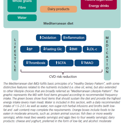 Healthy Dietary Pattern