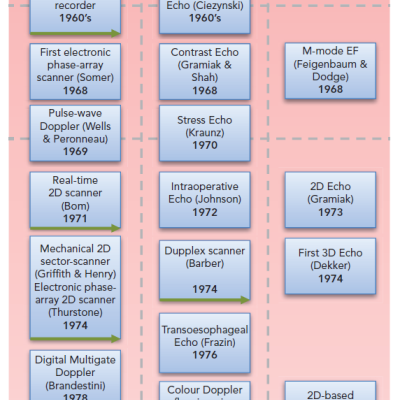 Figure 1 Historical Perspective of Ejection Fraction Assessment with Echocardiography