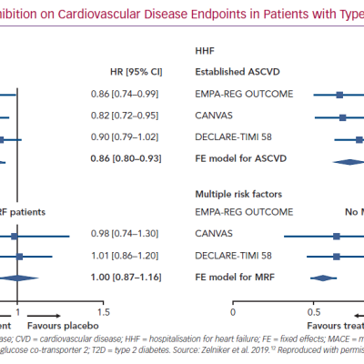 Impact of SGLT2 Inhibition on Cardiovascular Disease