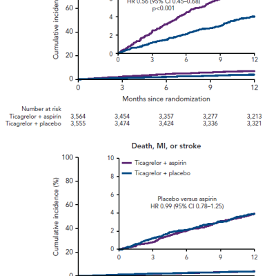 Kaplan–Meier Curves of Survival Free of Ventricular Tachycardia or VF in the VTACH Study