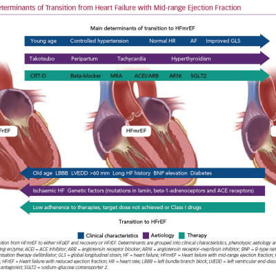 Main Determinants of Transition from Heart Failure