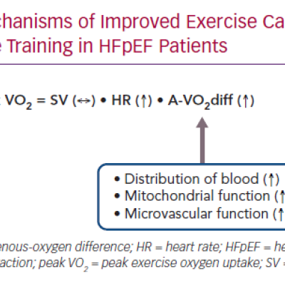 Mechanisms of Improved Exercise Capacity With Exercise Training in HFpEF Patients