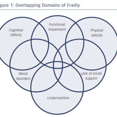 Figure 1 Overlapping Domains of Frailty