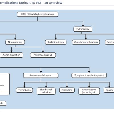 Figure 1 Possible Complications During CTO-PCI – an Overview