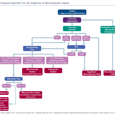 Figure 1 Proposed Algorithm for the Diagnosis of Microvascular Angina