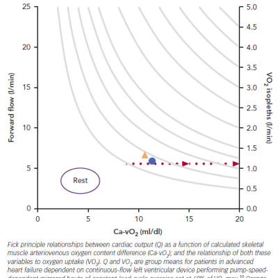 Relationships between Cardiac Output Arteriovenous Oxygen Content Difference and Oxygen Uptake during Sub-anaerobic Threshold Exercise