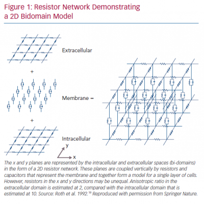 Resistor Network Demonstrating a 2D Bidomain Model THis is title long