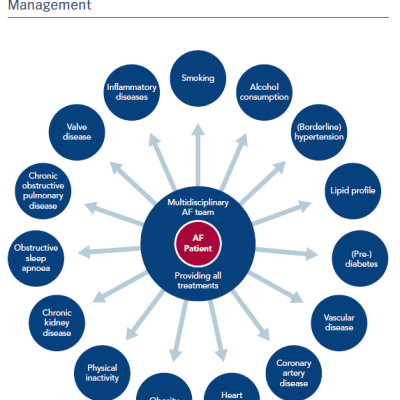 Figure 1 Risk Factors and Underlying Comorbidities to be Addressed in Chronic Comprehensive Atrial Fibrillation Management