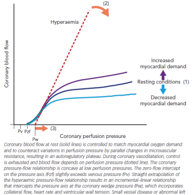 Figure 1 The Coronary Pressure-flow Relationship