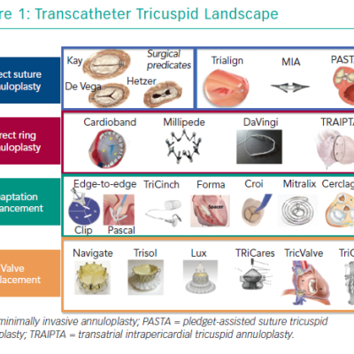 Transcatheter Tricuspid Landscape