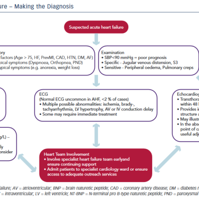 Acute Heart Failure – Making the Diagnosis